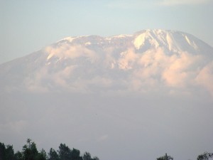 Kilimanjaro